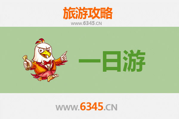 琼中国营加钗农场一日游攻略：热带田园风光与亲子体验之旅