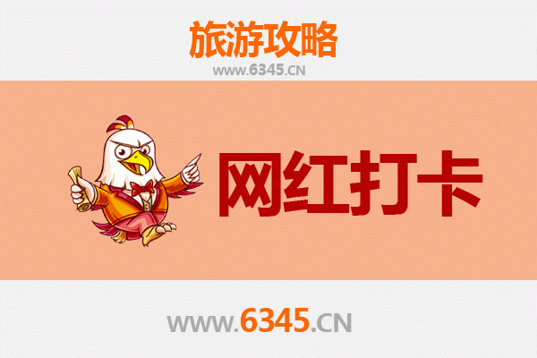 琼中加钗农场：热带风情与田园诗意的网红打卡圣地